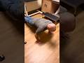 Golf & Push-ups after Shoulder Replacement