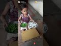 WhatsApp status video Whatsapp Status Video Download Free