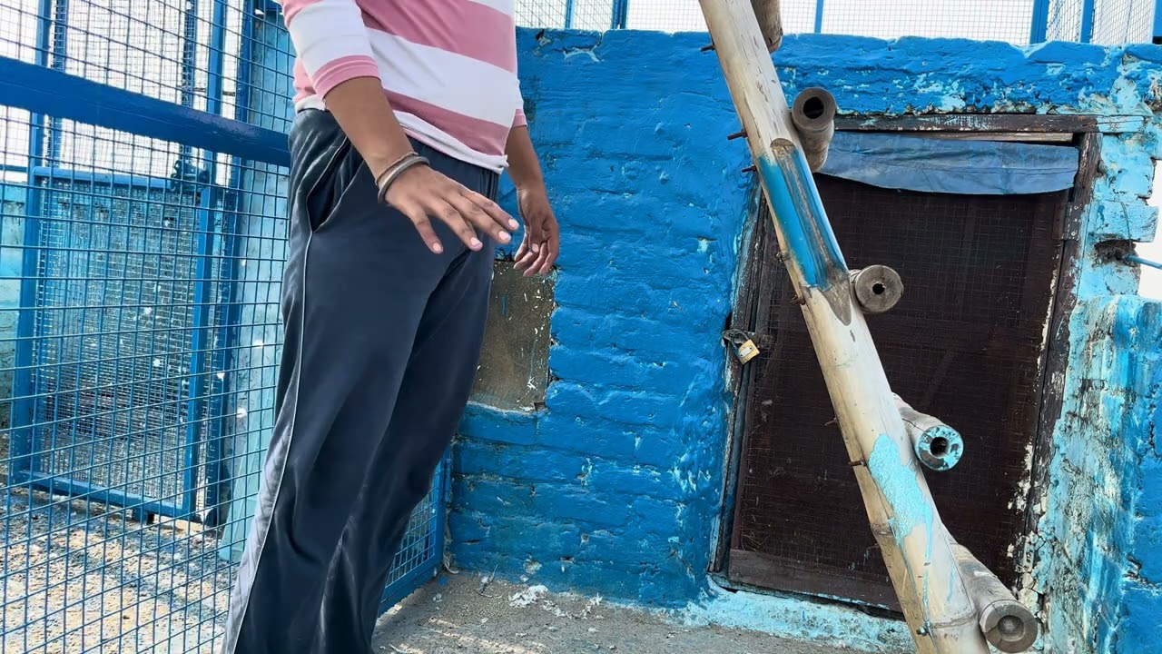 New #kabootarbazilover wait for end 