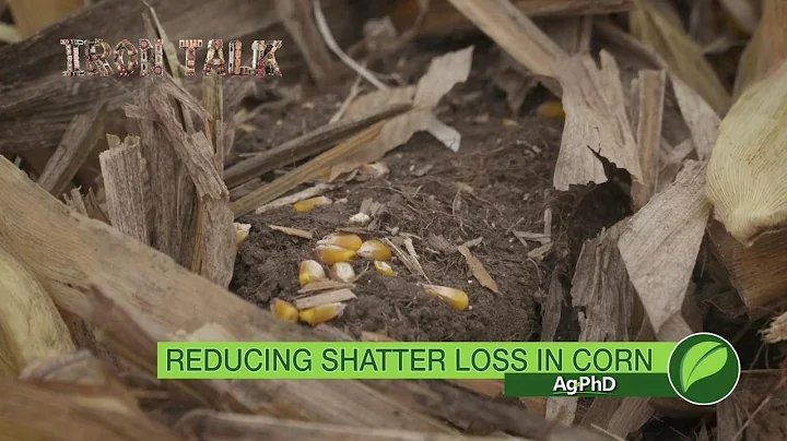 Iron Talk #1015 Shatter Loss In Corn (Air Date 9-17-17)