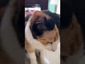 たーくんを呼んだら………