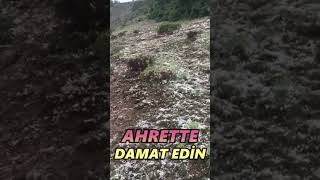 Canana Selam Söyle - Adem Bacel