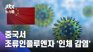 중국서 조류인플루엔자 '인체 감염'…확산 가능성은? / JTBC 뉴스룸