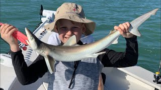 Sanibel shark and tarpon  fishing. Live stream