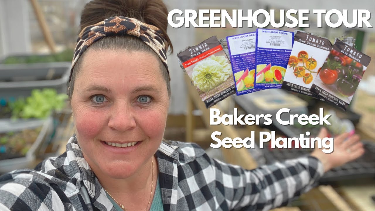 Vintage Window Greenhouse Tour See What is Growing and My Favorite