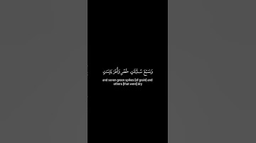 كروما شاشة سوداء قرآن كريم 🍀 ياسر الدوسري 🍀 سورة يوسف  #تلاوة_هادئة #اكسبلور #yasseraldossary