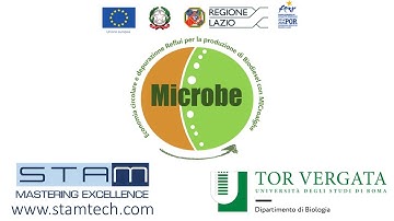 MICROBE - Circular Economy and Microalgae