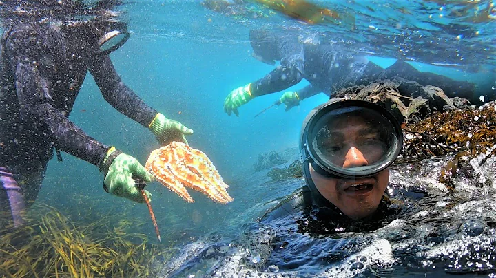 Buceo y Extraccin de Mariscos bajo el Mar