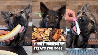 6 Single Ingredient Dog Treat Recipes