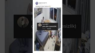 Köpekler odayı basıyor 🙀