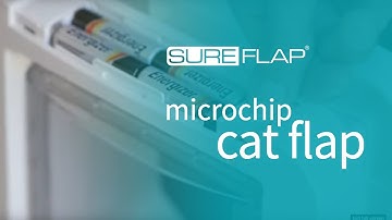 How to learn your cat into the SureFlap Microchip Cat Flap