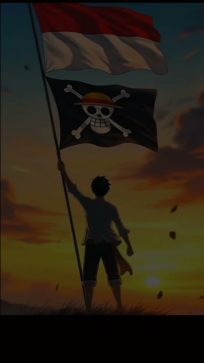 Lekas Sembuh Indonesiaku Ulang Tahunmu Sudah Dekat,,, #indonesia #onepiece
