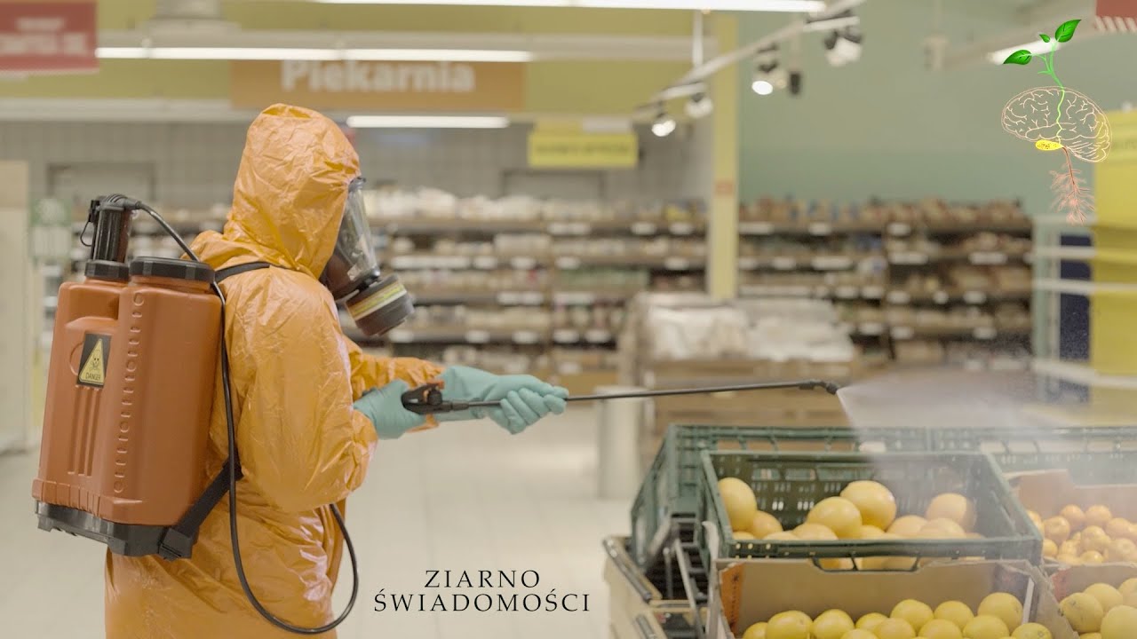 Film Ziarno Świadomości