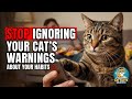 STOP Ignoring Your Cat's WARNINGS About Your Habits