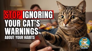 STOP Ignoring Your Cat's WARNINGS About Your Habits