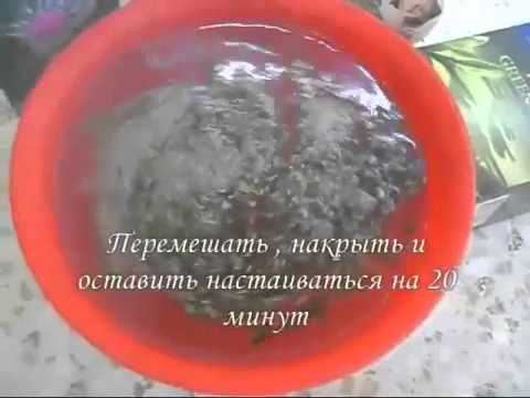 Лопух для волос