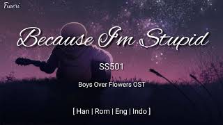 [IndoSub] SS501 - Because I'm Stupid [Han/Rom/Eng/Indo] Lyric chords