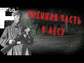 ВОЕННАЯ ЧАСТЬ В ЛЕСУ! Страшные Истории На Ночь!