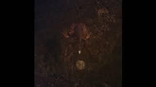 BONGBONGBEERWIZARDS - AMPIRE  (2022 Full Album)