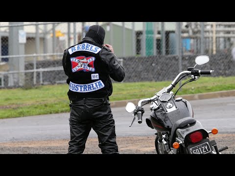 ‘I smell a rat here’: Bikie chooses to identify as Indigenous