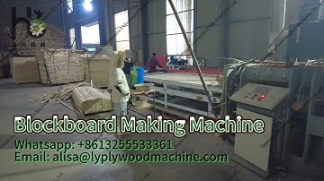 Hummingbird-Finger joint block board making machine｜efficient and precise