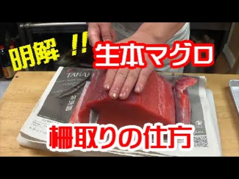 【明解！！】生本マグロの柵取りの仕方　#うちで過ごそう