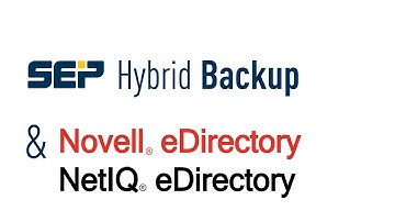 Novell eDirectory Backup & Restore (Lang_EN) | SEP sesam Tutorial