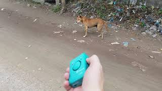 Dog Repeller, Dog Repellent  Original J1003, Dog Go Away. screenshot 1
