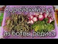 Корейский суп из БОТВЫ РЕДИСА рецепт Korean Radish Tops Soup recipe 시래기국