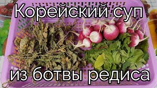 Корейский суп из БОТВЫ РЕДИСА рецепт Korean Radish Tops Soup recipe 시래기국 Корейский суп из БОТВЫ РЕДИСА рецепт Korean Radish Tops Soup recipe 시래기국