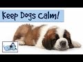 Relaxing Dog Music - Help Keep Your Dog Calm With Relaxing Music