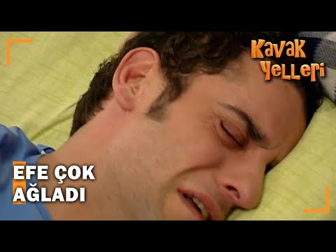 Efe Neden Ağladı? - Kavak Yelleri 153. Bölüm