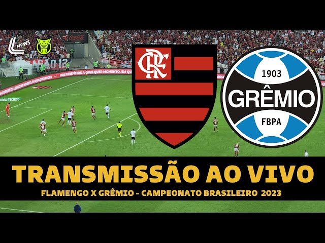 FLAMENGO X GRÊMIO TRANSMISSÃO AO VIVO DIRETO DO MARACANÃ - CAMPEONATO  BRASILEIRO 2023 10ª RODADA 