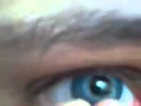 freshlook contact lenses hydrasoft