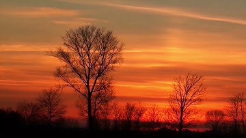 سورة يس بصوت عبدالله خياط مع اصوات عصافير جودة عالية