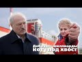 Добруш — миллиарды коту под хвост. Зачем приехал Лукашенко?