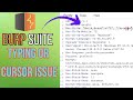 How to Fix Burp Suite Cursor issue | Text Editing Issue