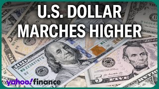 Strategist: US dollar remains overvalued amid rally fueled by rate cut expectations