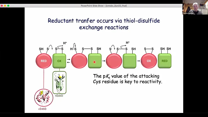 2022-06-02 Emerging MR Webinar: Redfield, Gronenborn
