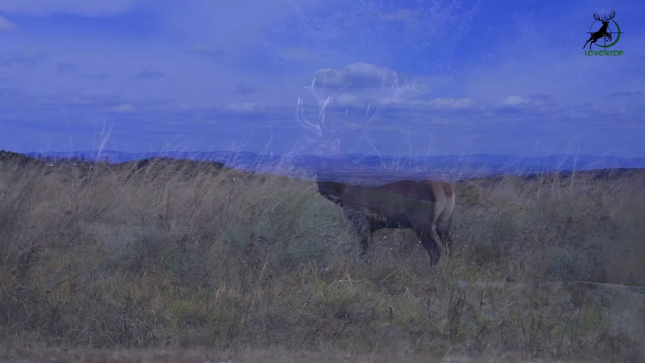 Tito u lovu / Naseljavanje jelena / Manastir Studenica / Gajenje pastrmke- Tamo gde žubori Studenica