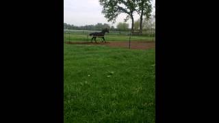 WP 20140427 0011