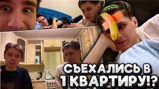 СЕКБИ И КЛЭШ ЖИВУТ ВМЕСТЕ!? КУКИНГ СТРИМ! Не Майншилд