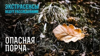 Жизнь на волоске: можно ли спастись от порчи? – Экстрасенсы ведут расследование