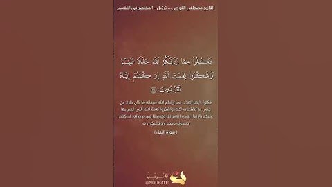 يوم تأتى كل نفس تجادل عن نفسها... ترتيل من سورة النحل