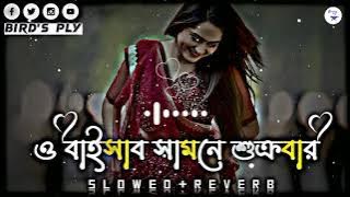 ও ভাইসাব সামনে শুক্রবার_O Bahisab Samne Sukrubar(Slowed & Revarbe)Tosiba_Lofi Song_Bird's Ply  2023