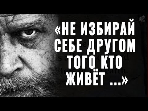 120 Гениальных Цитат, Открывающих Глаза На Эту Жизнь! Мудрые Слова Великих Людей