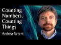 Andrea Sereni | Counting Numbers, Counting Things | NUMEROUS NUMEROSITY 2021