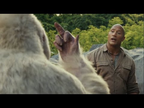 Angry Gorilla Attack Scene   Hindi  Rampage 2018 4K Movie Clip