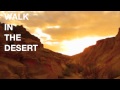 Capture de la vidéo D.lyrium - Walk In The Desert