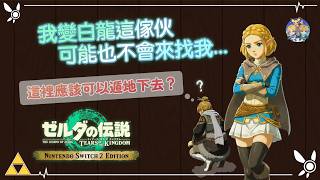 【王國之淚Edition】虛化超級餘料過載研究(DI SFO research, 聲音重感冒)